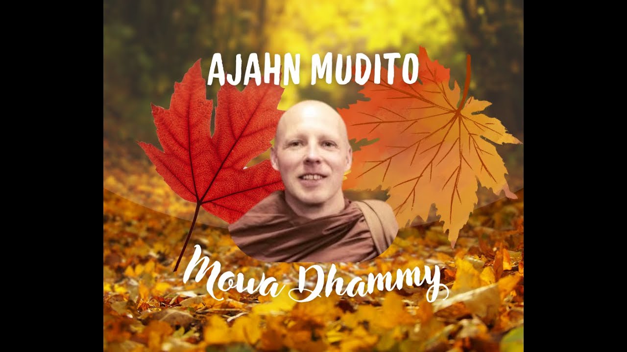Mowa Dhammy 27.10.2024 - Czcigodny Mudito [TŁUMACZENIE PL]