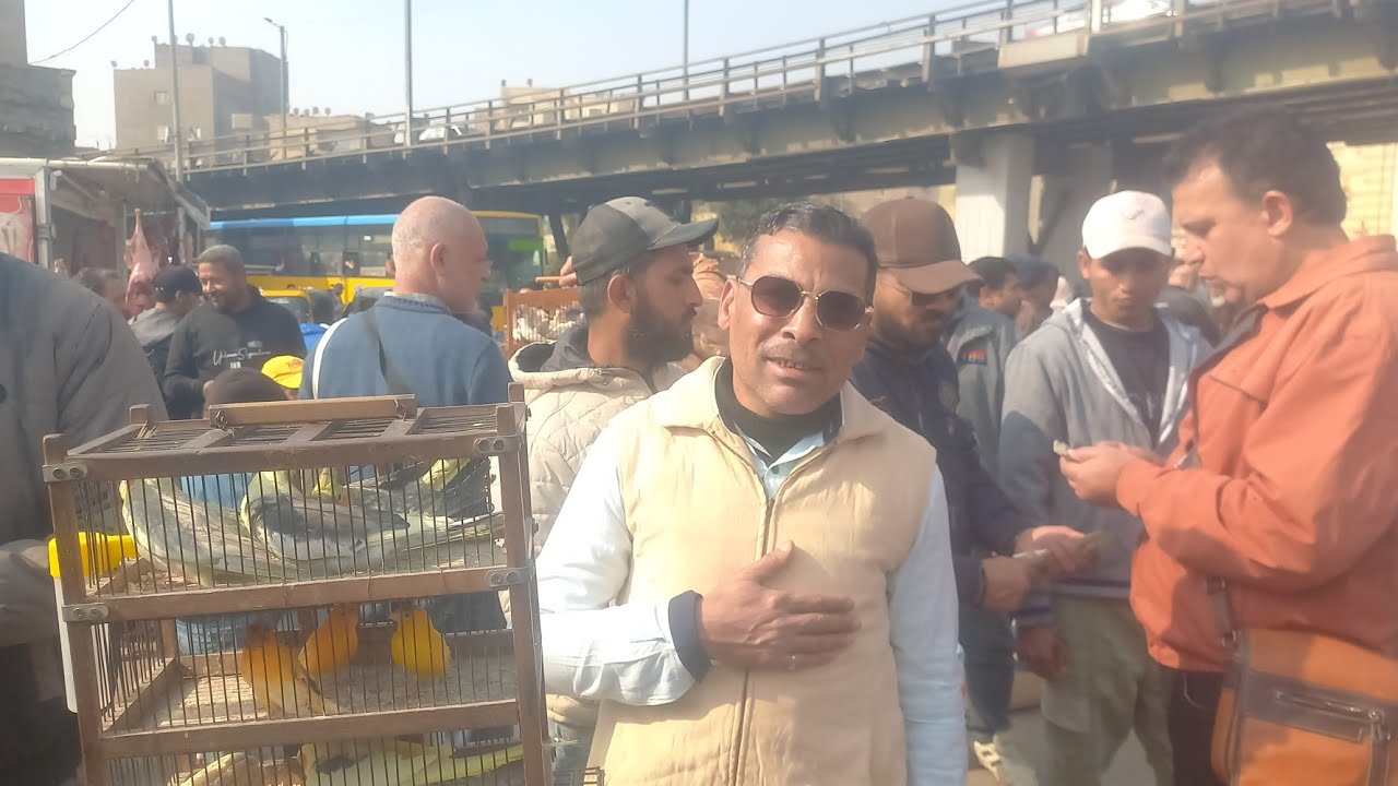 💚من سوق الأحد اليوم الناس اشترت عصافير ايه وبكام👌وأسعار العصافير بأرقام اصحابها من داخل السوق⁉️جزء2💚