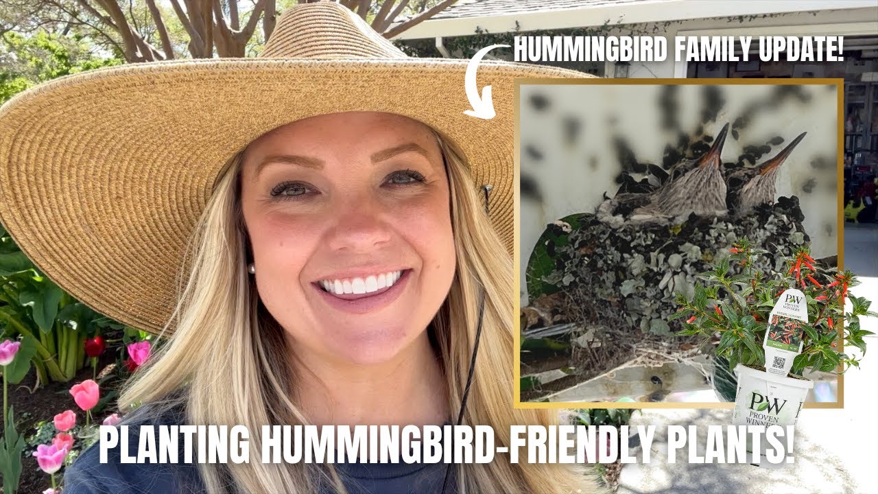 Planting Hummingbird-Friendly Plants For My Hummingbird Family with Proven Winners! 🪺💗