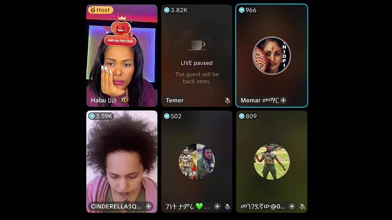 ሰላሚና የምር ስራ ነው ወይስ ገንዘብ ፈልጋ ነው?