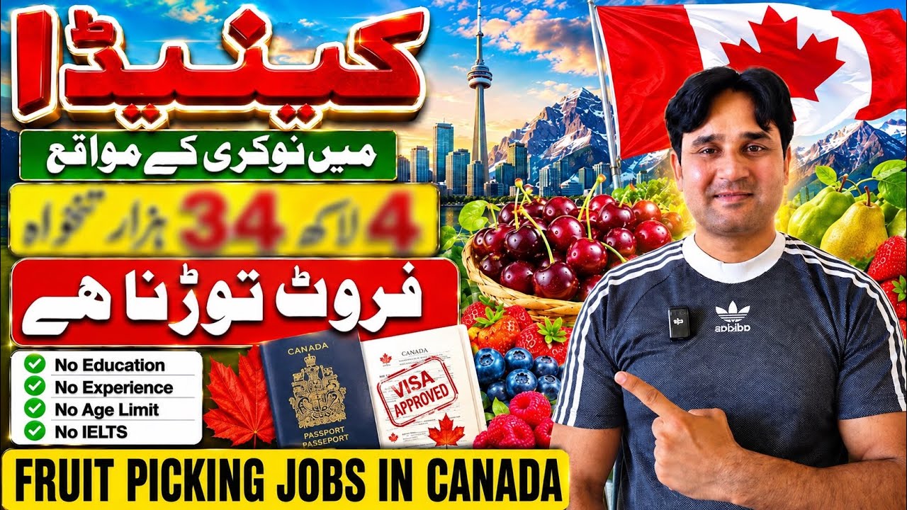 Canada 🇨🇦Fruit Picking Jobs 2026 | No IELTS | Visa Sponsorship | How to Go Canada 🇨🇦 On Job#advice 