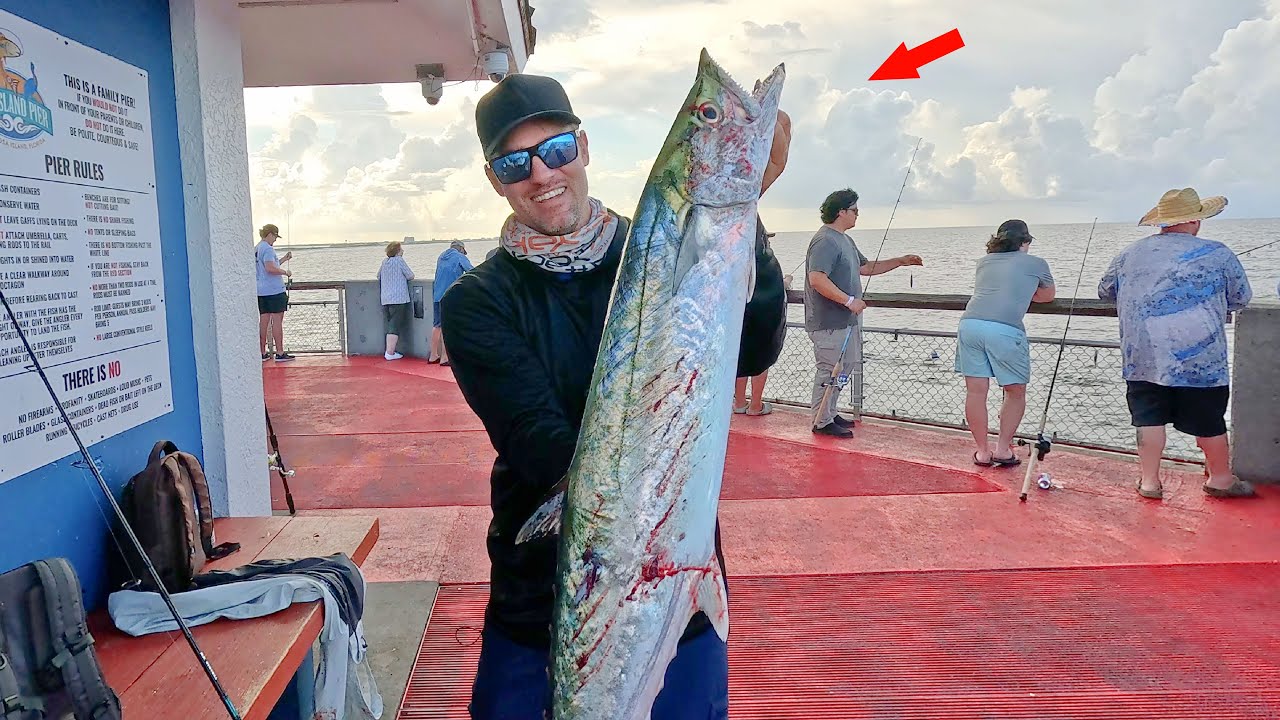 I Caught the Pier Fish Everyone Was After!