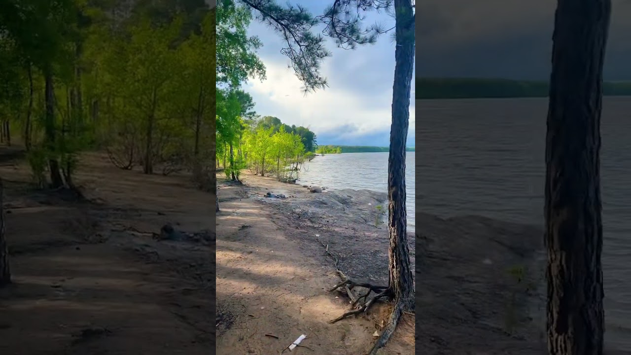 Jordan Lake 