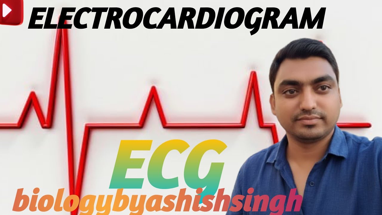ECG . Electrocardiogram