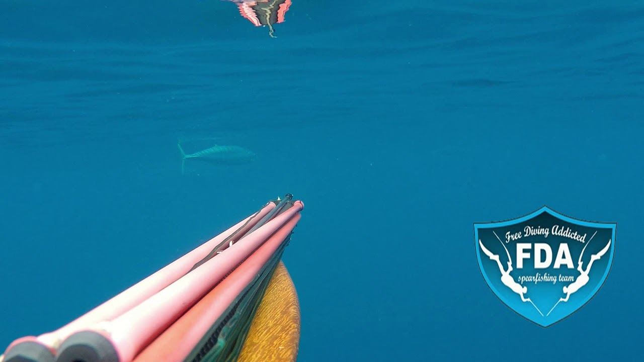 TENERIFE SPEARFISHING giman sub whaoo