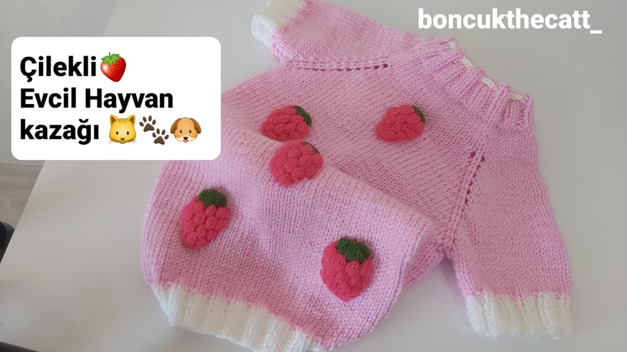 S/M beden evcil dostlarınız kazak tüm detaylarıyla sizlere anlatmaya çalıştım #kazak #cileklikazak