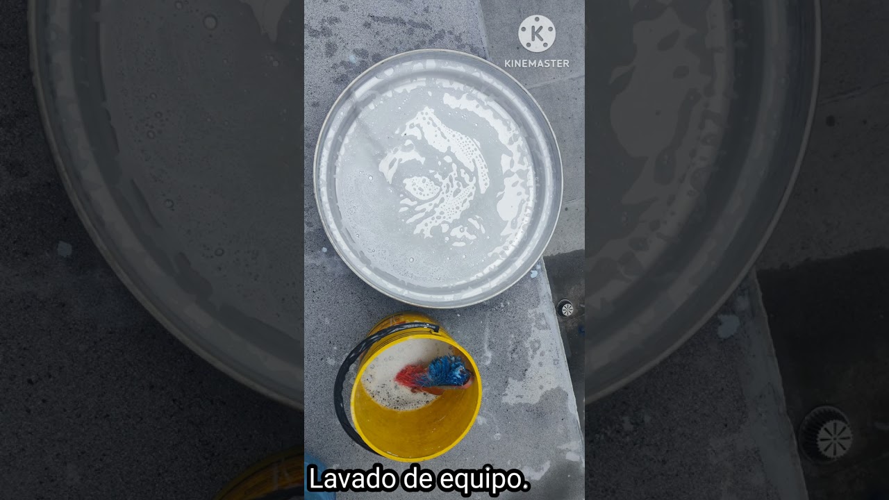 Hongo extractor mantenimiento preventivo.