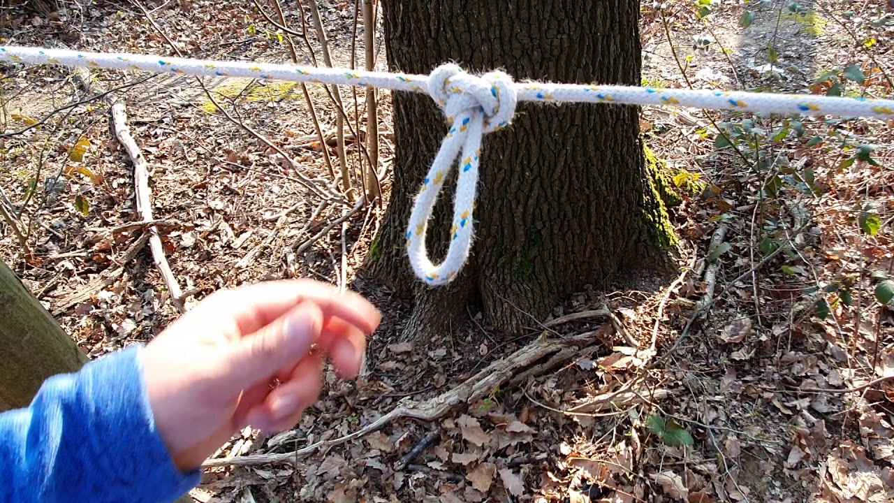 Schmetterlingsknoten