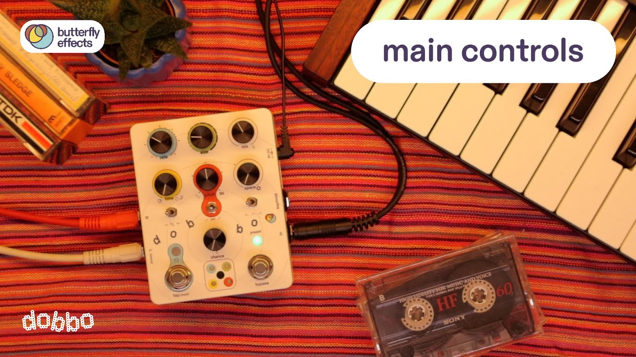 Dobbo Manual  - Main Controls