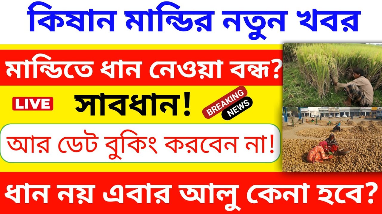 ধান নেওয়া বন্ধ কিষান মান্ডিতে।। কেন ধান বিক্রি বন্ধ করল সরকার।। এবার আলু নেওয়া হবে মান্ডিতে?