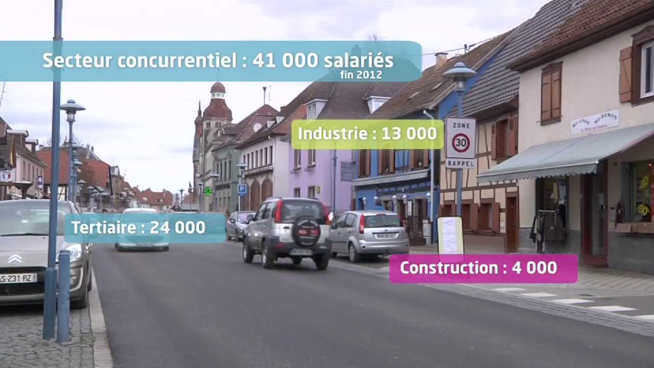 Portrait économique : le territoire de Sélestat (CG67)