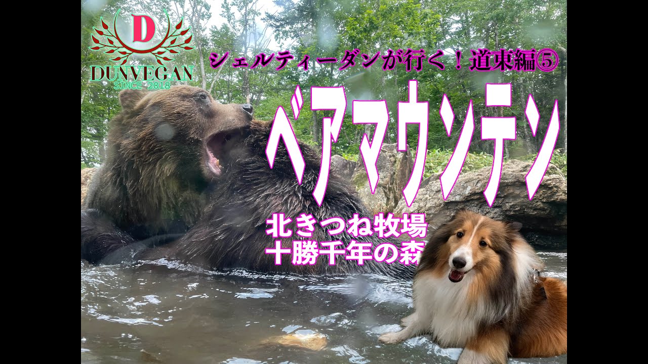 ヒグマに会いに行った【十勝・帯広と旧鉄道駅舎群】犬連れの旅