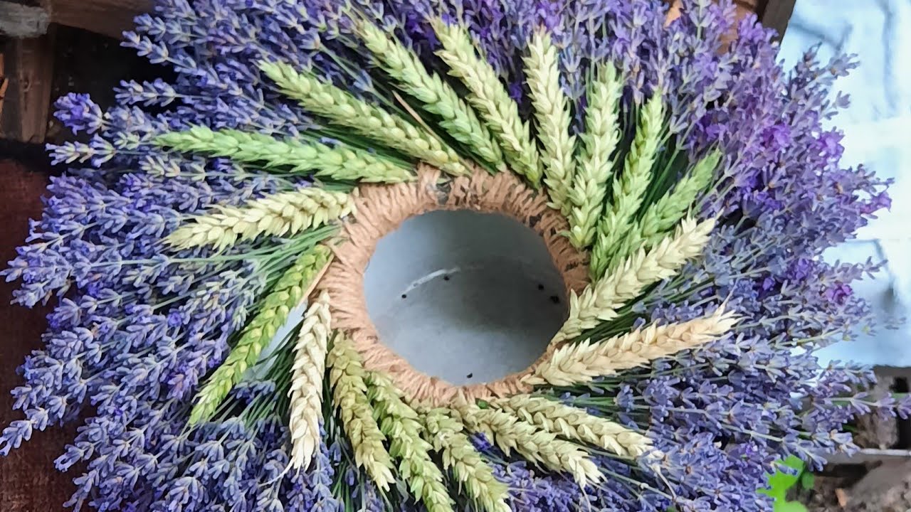 ЛАВАНДА.💜🌿 Зрізаю, сплітаю і за вашими проханнями МК знімаю.😉Лавандовий віночок МК по створенню.