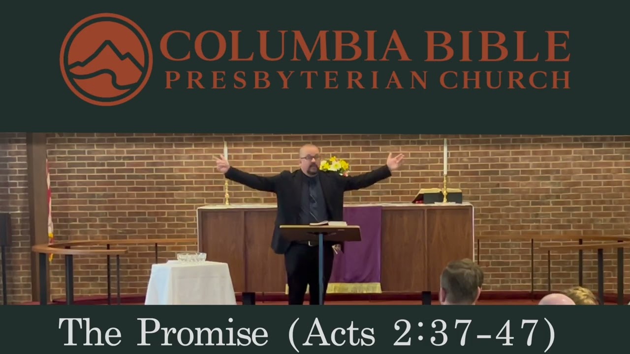 The Promise