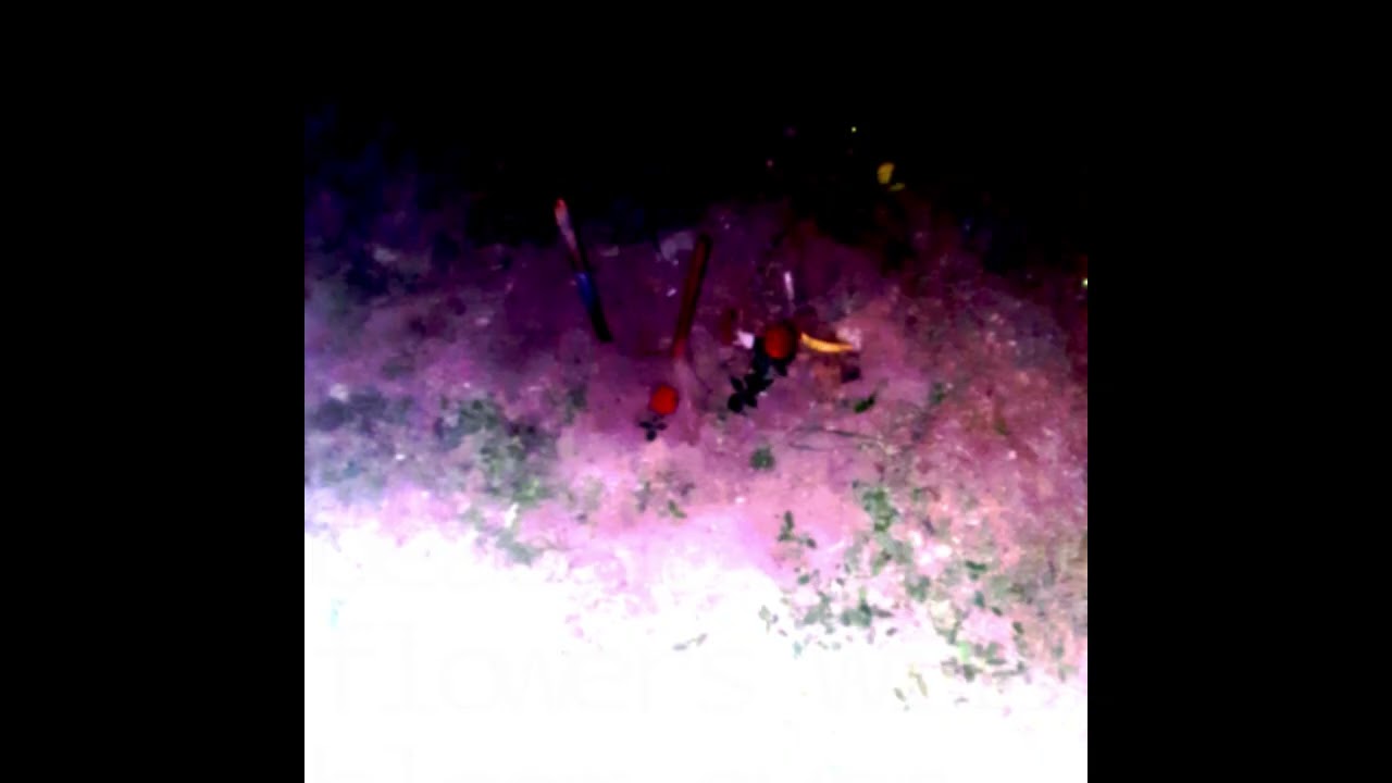 What Comes After (V2)