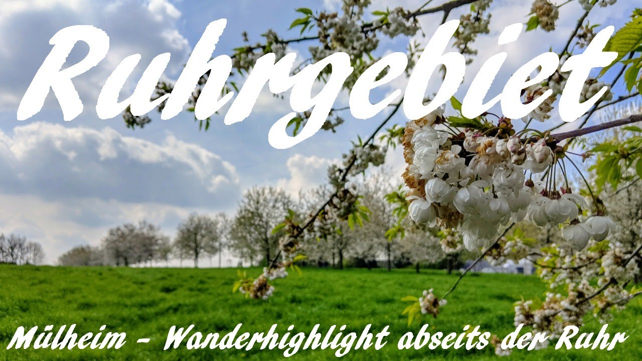 Ruhrgebiet: M&uuml;lheim - Wanderhighlight abseits der Ruhr - Vlog 159