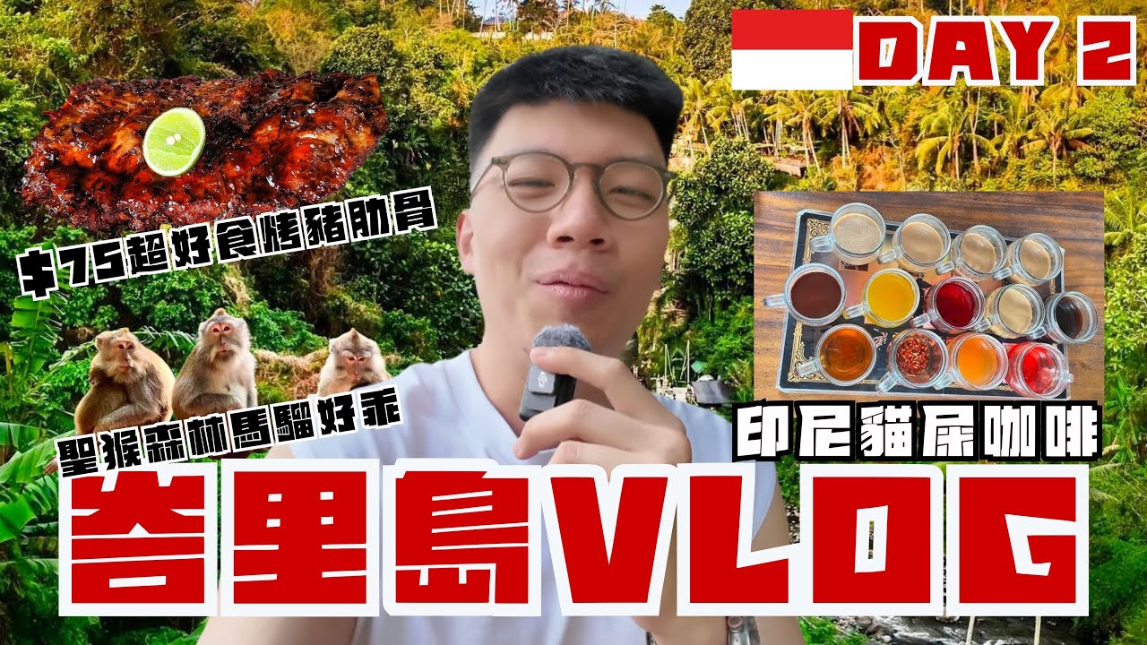 🇮🇩峇里島 VLOG EP2｜LOCAL TOUR究竟有咩玩 | 貓屎咖啡原來係印尼特產 | 馬騮會唔會搶野食