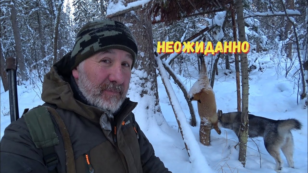 НЕ ЭТОГО Я ОЖИДАЛ. Но всё равно рад.