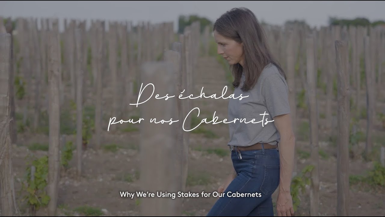 Pourquoi des &eacute;chalas pour nos Cabernets ?