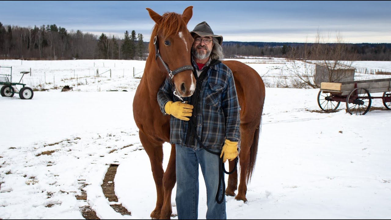 Canadian horses: Michel Allen raises masters of versatility