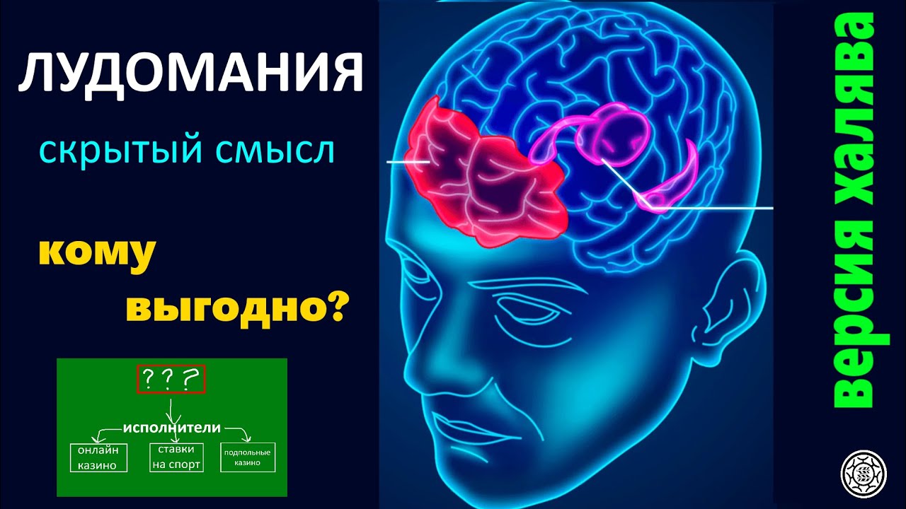 Лудомания 🤑СКРЫТЫЙ СМЫСЛ♦️ структура 🎰физиология версия халява