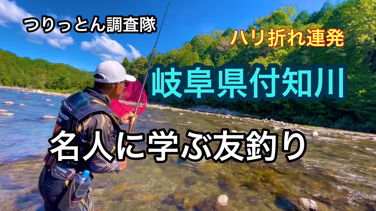 8月17日付知川で鮎釣り。予想外のデカさで仕掛けチェンジ❗️