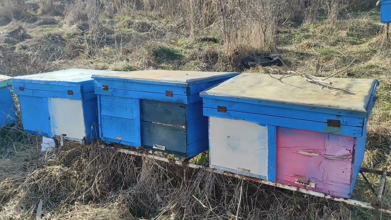 De ce sunt supărat pe bakfast??