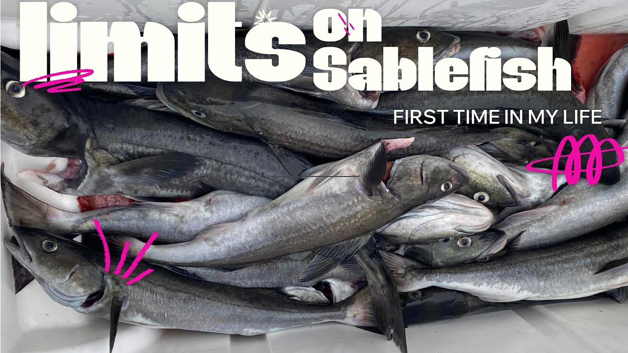 First ever Limits of blackcod aka Butterfish in Southern CA with Mike. Epic Sablefish Catch of 2024!