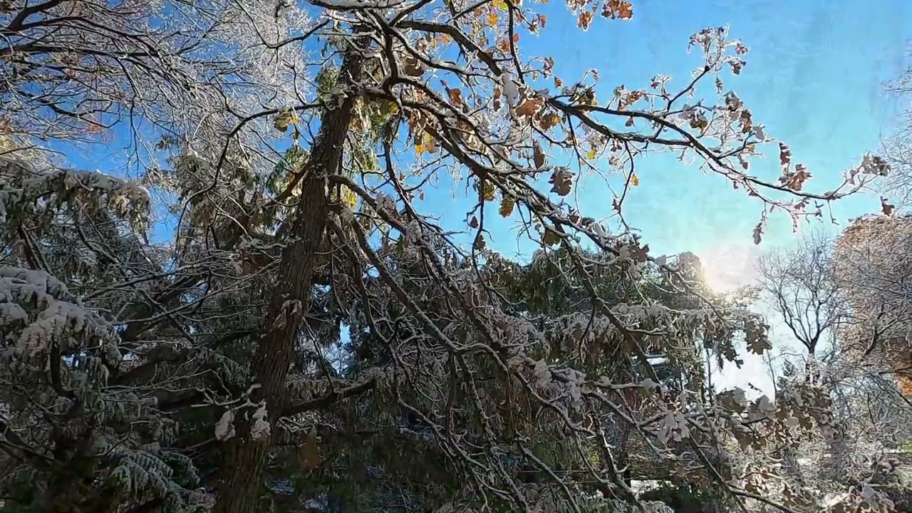 Snowscape