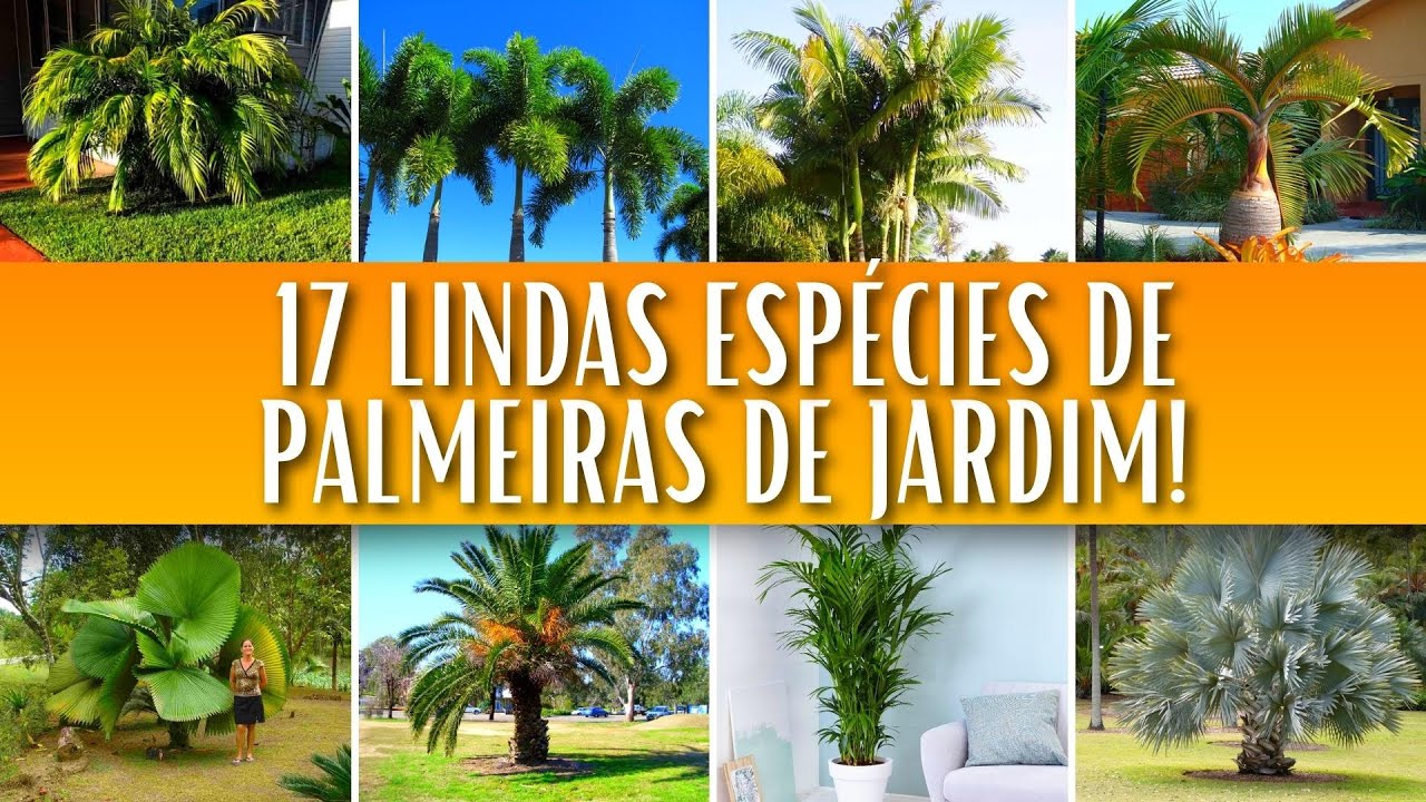 17 LINDAS ESPÉCIES DE PALMEIRAS DE JARDIM! Descubra a Beleza Natural!