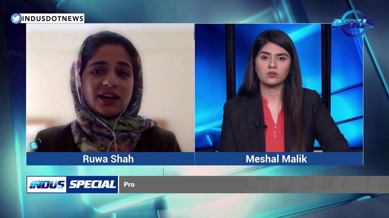 Anti-Sisi protest in Egypt: Indus special Interview with Mohamad Elmasry.