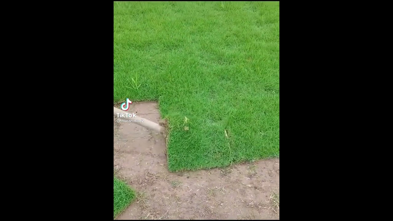 &Ccedil;im Kazıma İşlemi! 👩&zwj;🌾