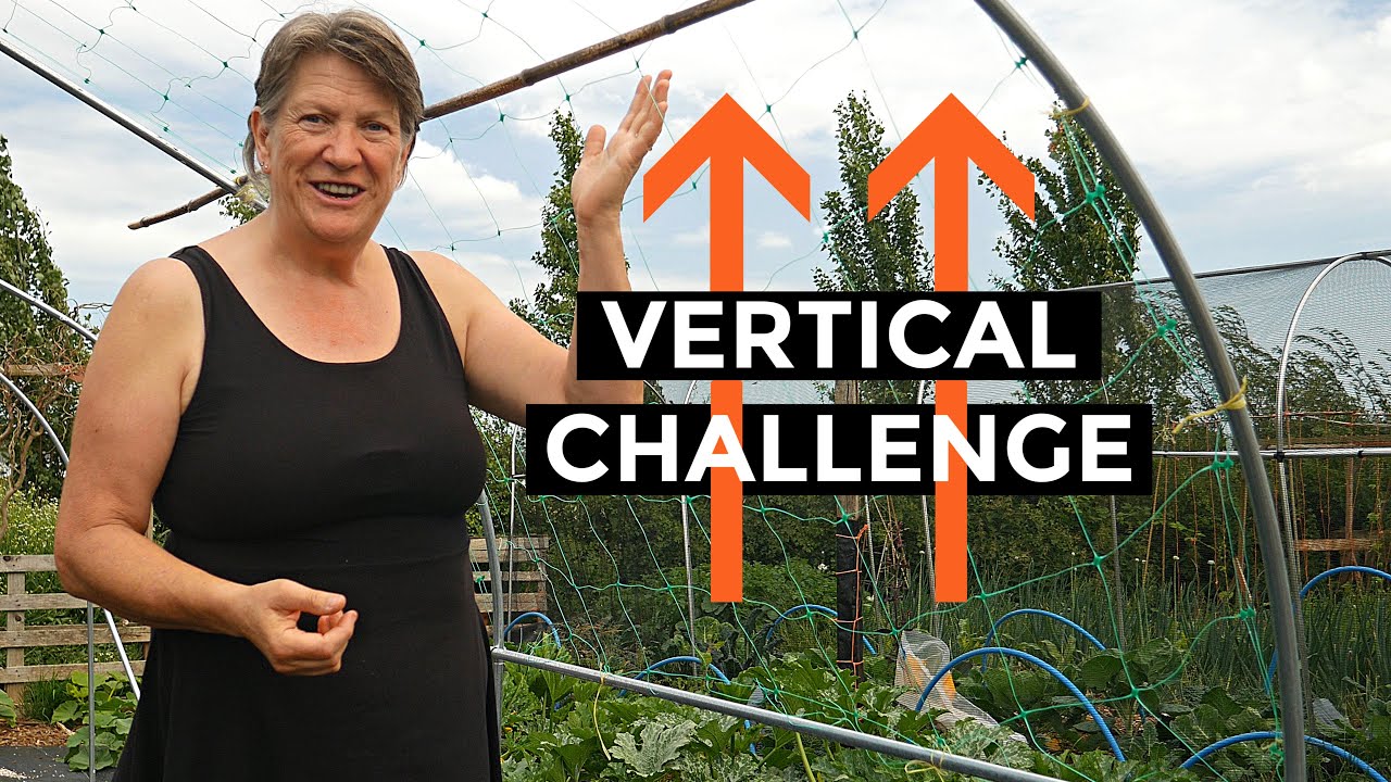 3X the Growing Space with Vertical Gardening | Squash Tunnel (June 2020)