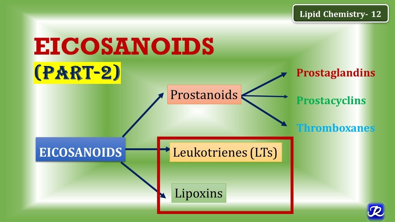 12: Eicosanoids part 2 (Leukotrienes, Lipoxins) | Lipid Chemistry-12 | Biochemistry