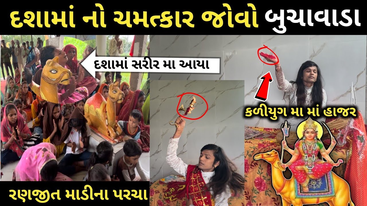 દશામાં નો ચમત્કાર બુચાવાડા 2024 / જે માંગો તે બધુજ મળે આ મંદિરે / રણજીત માળીને દશામાંના સાક્ષાત પરચા