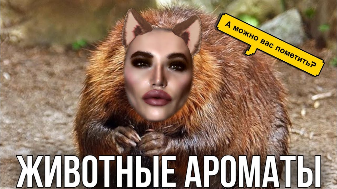 АРОМАТЫ РАЗВРАТА И РВАНЫХ ДЫРОЧЕК