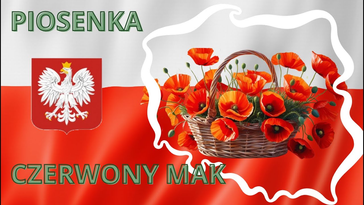 #5 🌺 PIOSENKA - CZERWONY MAK - Kwitnący symbol polskiej historii 🇵🇱🌺 4K Śpiewaj z Mikronkiem