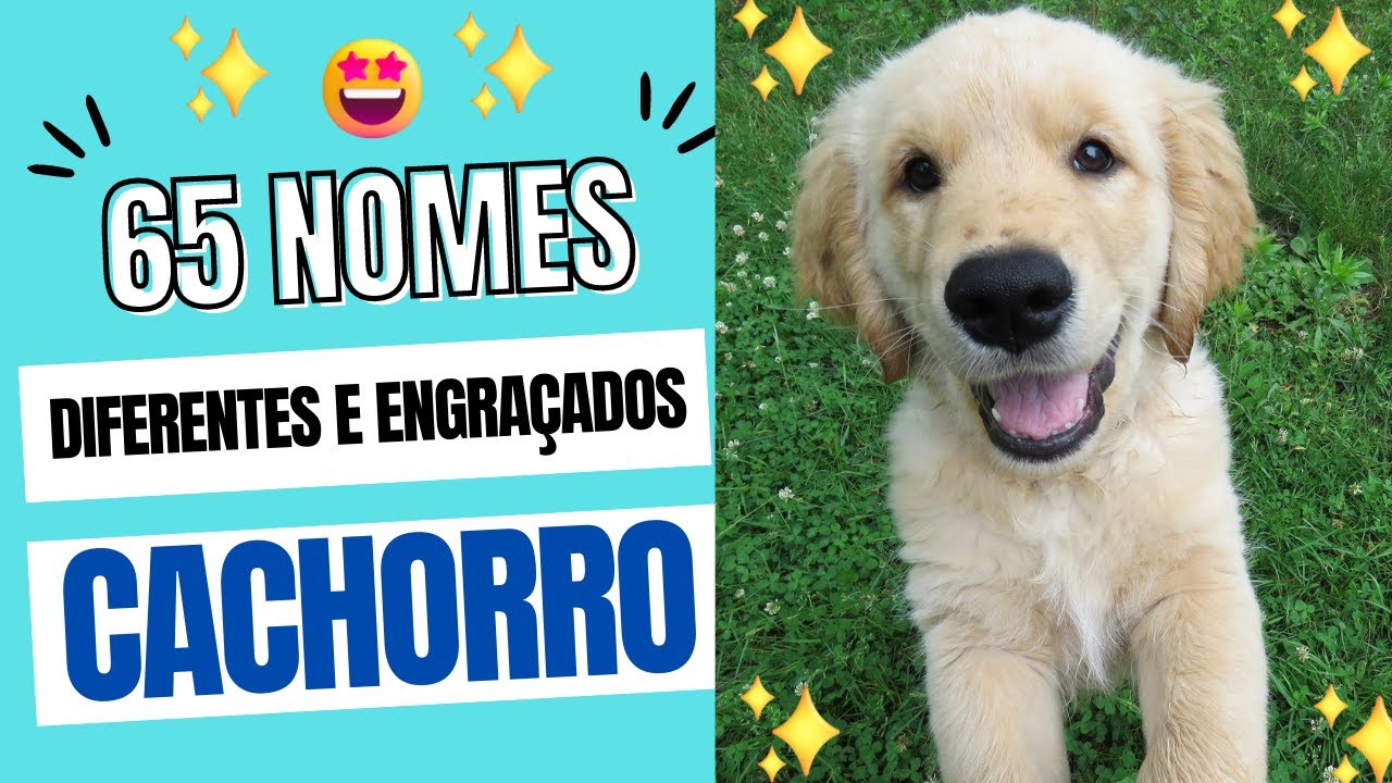 🐶65 NOMES ENGRAÇADOS PARA CACHORRO MACHO-  PARTE 2😍