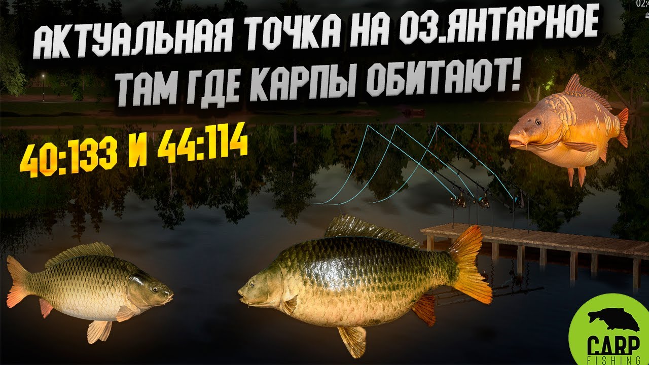 Актуальная точка🐟 оз. Янтарное - болото проверка клефа  ТФ +  ▶ | 🐟 Русская рыбалка 4 ▶ рр4 #рр4