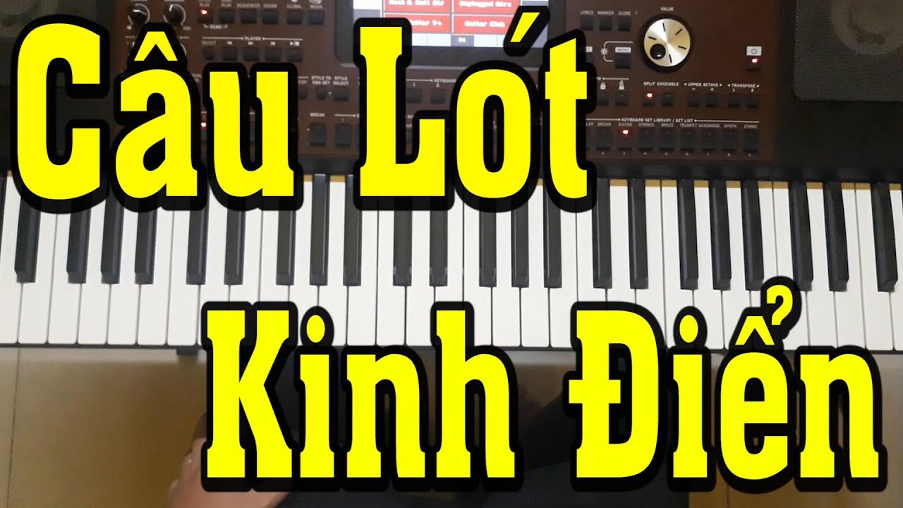 Câu lót Kinh Điển cho điệu Bolero |  Trần Khánh