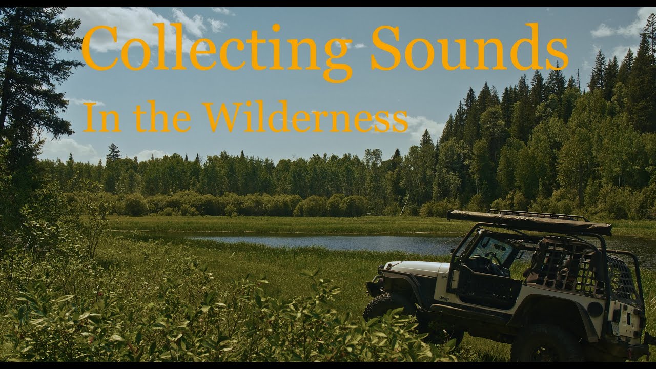 Collecting Sound in the Canadian Wilderness // Zoom F3 Micbooster Clippy em272
