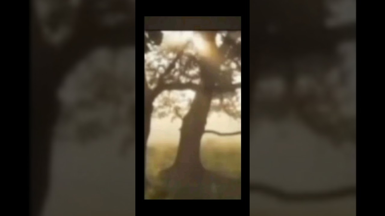 ايه عجيبه من ايات الله صوم الحيوانات 