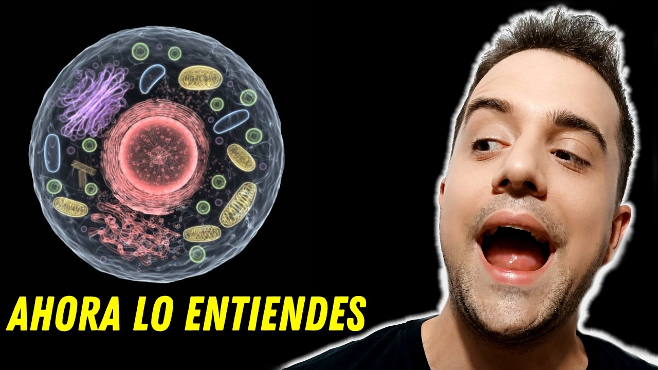 ¡La CÉLULA! 🔬 [Nivel fácil] - Biología 1º y 3º ESO. Todo lo que NECESITAS SABER.