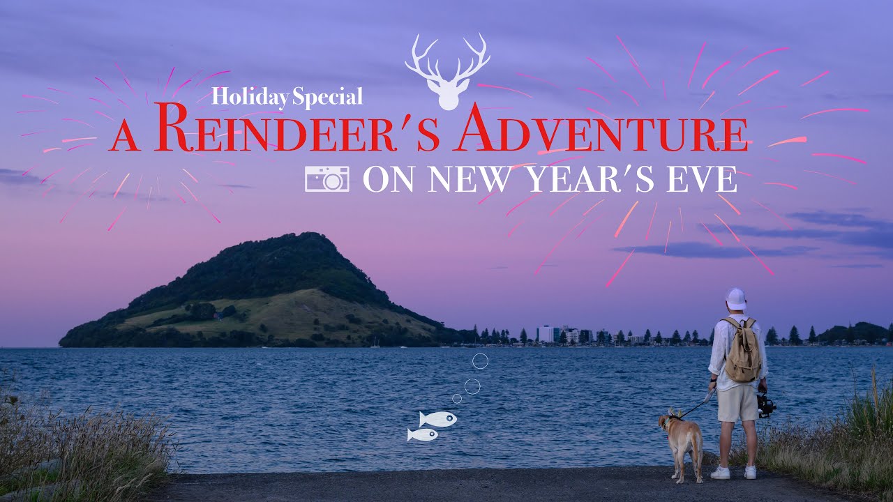 Taking Photos on NYE with My Dog