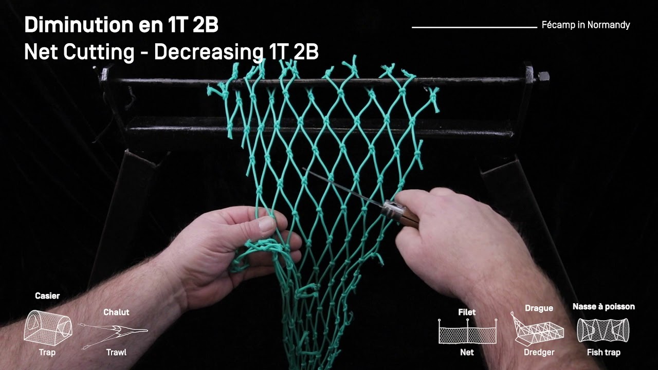 Diminution en 1T 2B/ Net cutting Decreasing 1T 2B