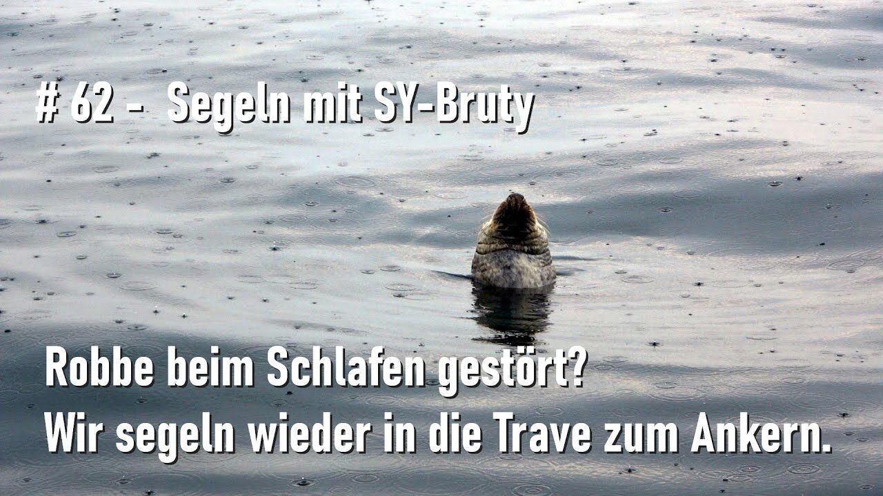# 62 - Segeln mit SY-Bruty - Robbe beim Schlafen gestört? Von Neustadt in die Trave zum Ankern!