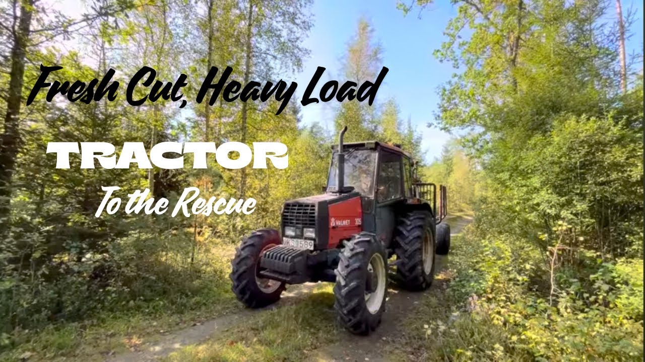 TRACTOR transport logs from forest | H&auml;mtar stockarna med hugga vagnen fr&aring;n skogen #tree #tractor 