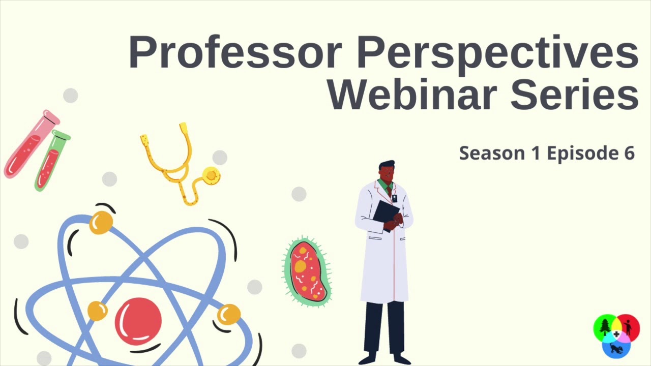 Interview with Professor Margarida Simoes (Portugal) - PhD