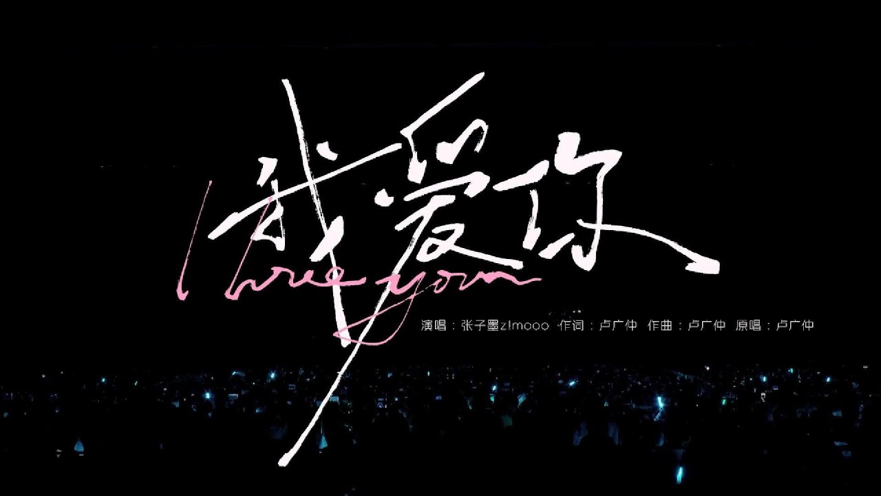 【TF_ING张子墨MO】Never Gonna Stop演唱会《我爱你》