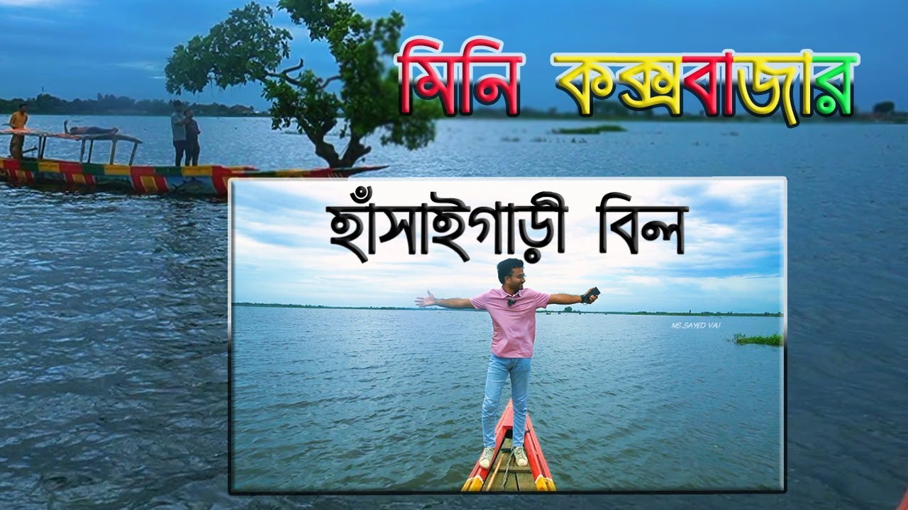 মিনি কক্সবাজার | হাঁসাইগাড়ী বিল | Mini Cox's Bazar | Noagaon | New Vlog Video | MS.SAYED vai #Blog